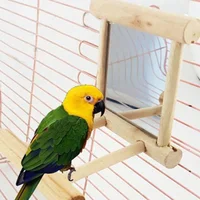 Bird Mirror Toy with Perch Stand for Parrot Budgie Parakeet Cockatiels Conure Finch Lovebird Canary  Macaw Amazon Cockatoo 1