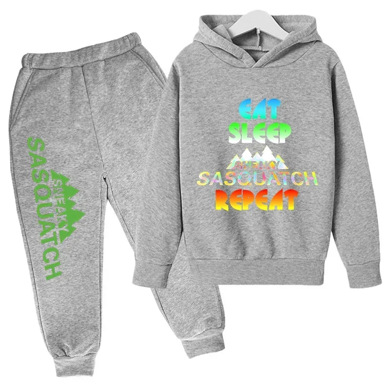 thumbnail image 1 of 2024 Nueva ropa para niños, conjunto de sudadera con capucha y pantalón, zapatillas deportivas, ropa deportiva para niños y niñas, otoño y primavera, 2 piezas, ropa para niñas pequeñas, 1 of 5
