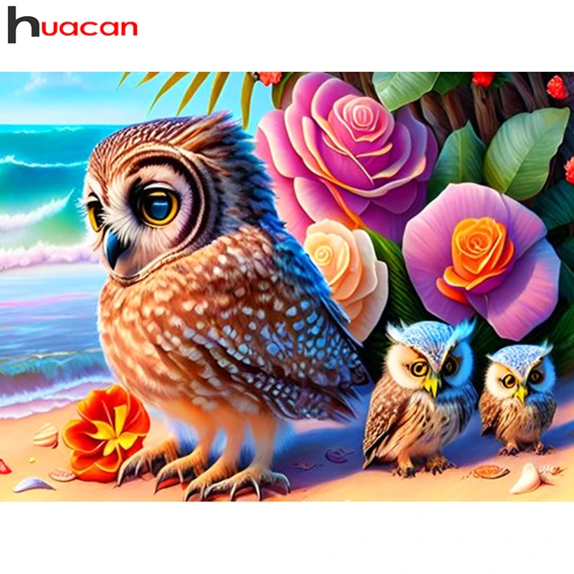 Huacan Full Square/Round Diamond Painting Kit Owl Rose Seaside