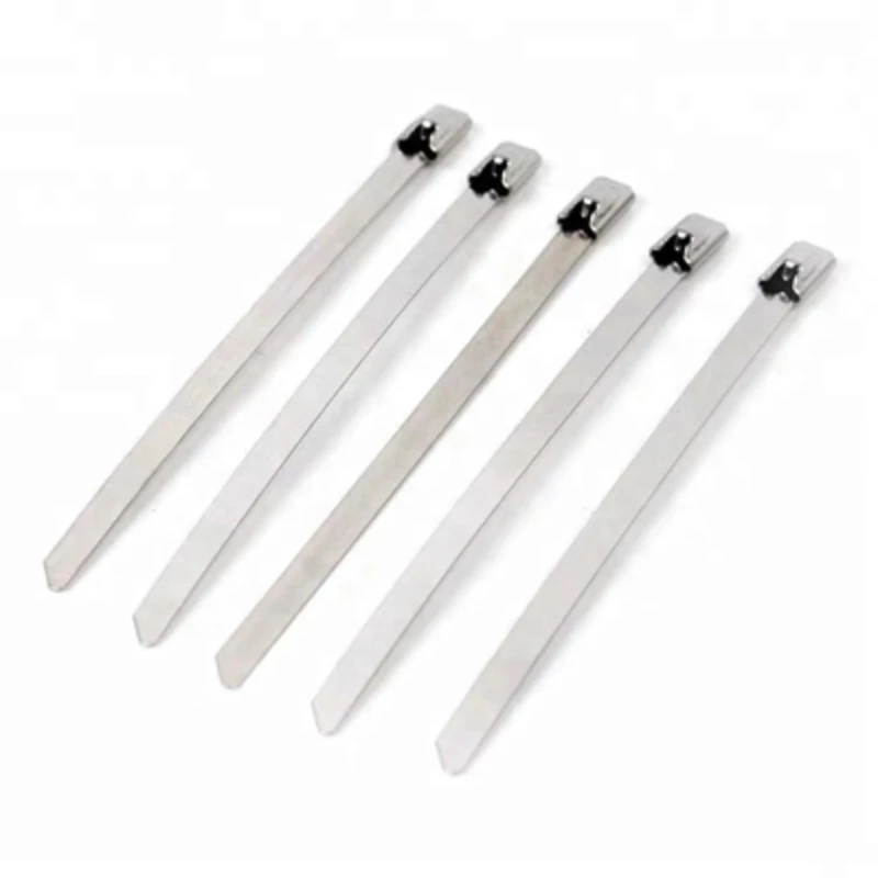 Cable Ties 100pcs for Exhaust Heat Straps Induction pipe 4.6mm width 100-700mm 304 Material