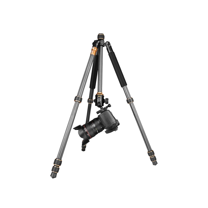 QZSD ź   ﰢ    , DSLR ī޶ ķڴ , ִ  159cm, Q999C