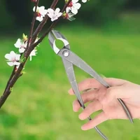 Bonsai Styling Tools, Styling Pliers, Diagonal Gardening Shears, Bonsai Making Styling Tools, Fork Branch Shears Garden Shears 2
