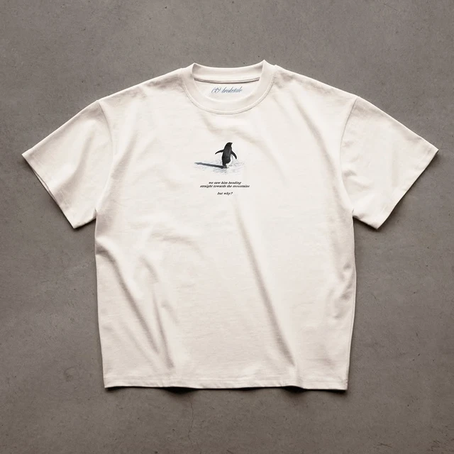 Y2K Men's T-shirt Fashion Broketale Snow Mountain Penguin Print Graphic Round Neck Shirt Oversized Unisex Casual Men's Clothing 2