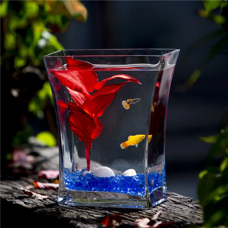 

Office Desks Mini Fish Box Guppy Small Glass Ecological Jellyfish Goldfish Tank Free Shipping Peceras Pet Decoration Items