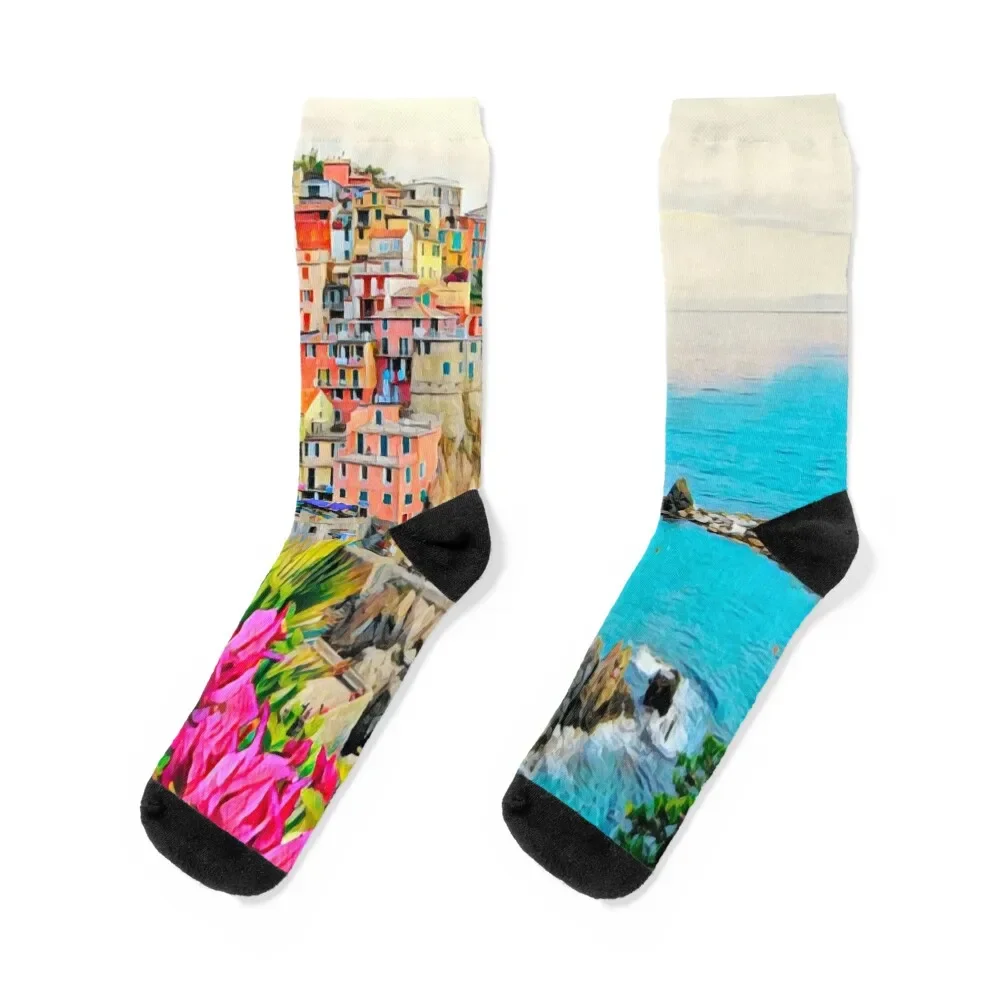 

Summer in Cinque Terre Socks hip hop Children's cute Socks Female Men's