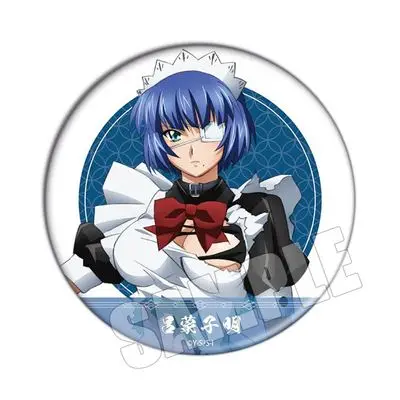 Anime Shin Ikki Tousen 58mm Figure Badge Round Brooch Pin Gifts