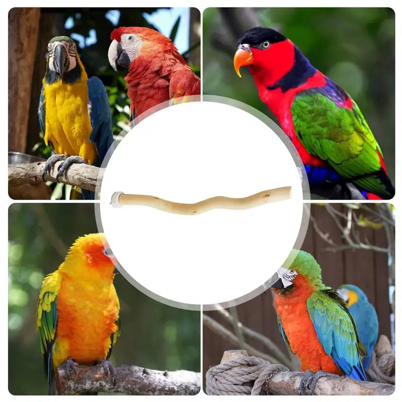 Bird Perch Toys Parrot Wooden Molar Cage Stand Stick Natural Wood Bird Accessories for Lovebirds Medium Parrots Budgies 4