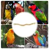 Bird Perch Toys Parrot Wooden Molar Cage Stand Stick Natural Wood Bird Accessories for Lovebirds Medium Parrots Budgies 4