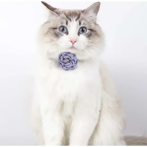 조정 가능한 나비 넥타이 고양이 꽃 목걸이, 안전 버튼 넥타이 목걸이, 강아지와 고양이 선물, 애완 동물 액세서리, 강아지 목걸이 3