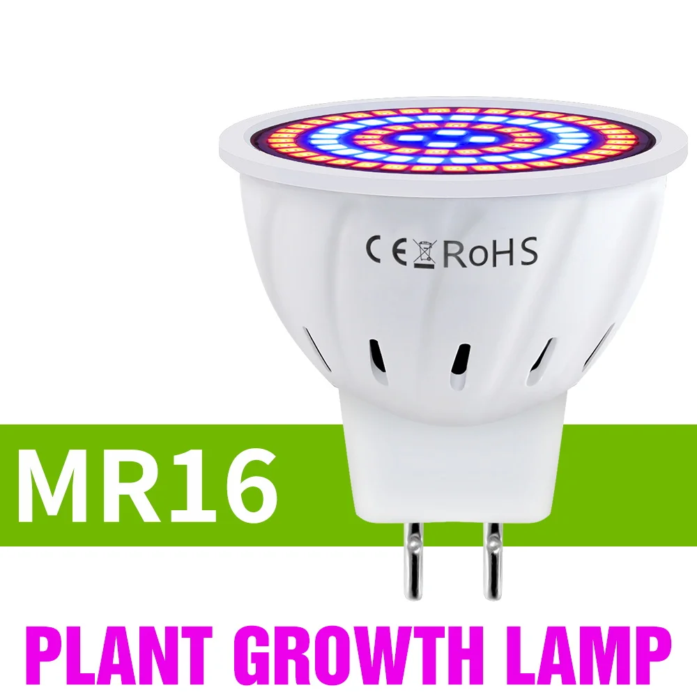 MR16