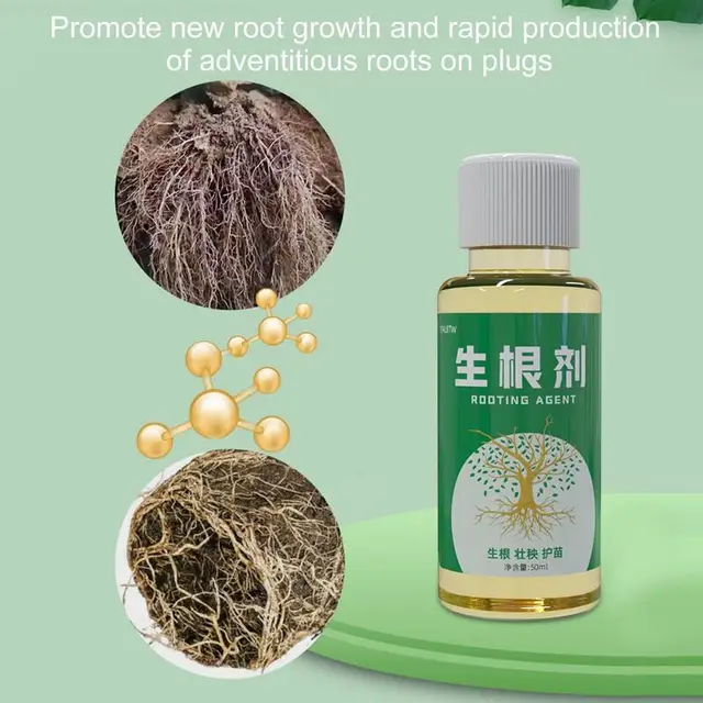 50 Ml -Es Növényi Növekedés Fokozó Kiegészítő Növekvő Szer Gyors Gyökérzetű Tápanyagok Műtrágya Elősegíti A Dugványokat Gyökerező Hormonokat - Image 2