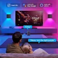 Tuya Outdoor LED Wall Lamp Smart Life APP Control Adjustable Angle RGBCCT Wall Lights,Work with Alexa Google Home - Image 2