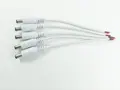 5 Male  white
