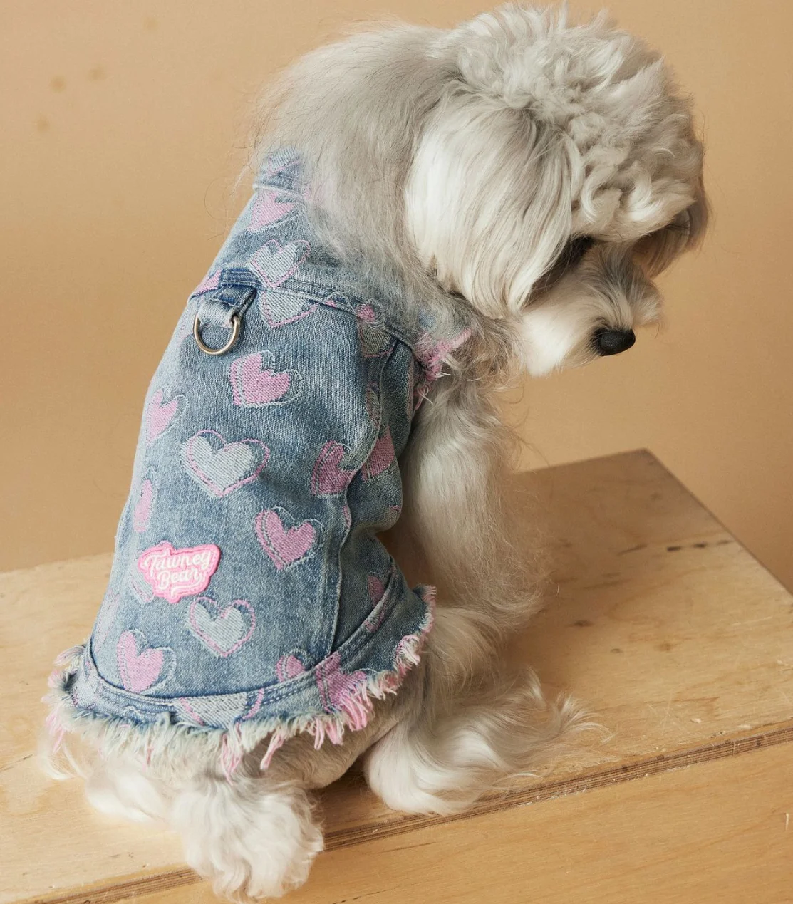 Sleeveless Cowboy Vest for Dogs, Tony Bears Dog Tank Top, Teddy, Schnauzer Bears, Marquis, Love, Spring, Summer, New