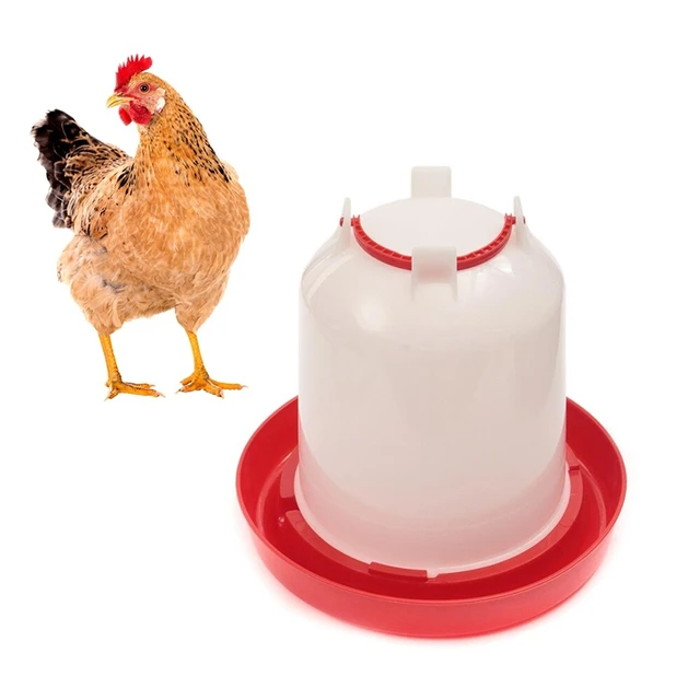 Pollo automatico abbeveratoio galline uccelli di quaglia bere ciotole acqua  pollaio pulcino capezzolo bevitori pollame per le forniture di animali -  AliExpress