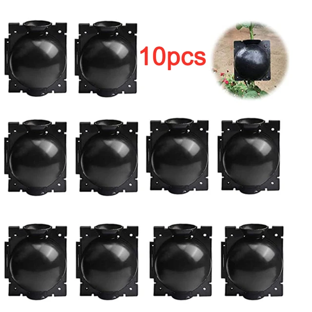 10Pcs