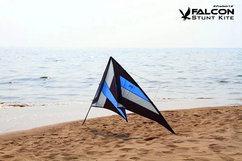 250cm Professional Stunt kite Falcon kites flying Ballet Formation Kite factory Freilein kite dual line for adults Power kite 6