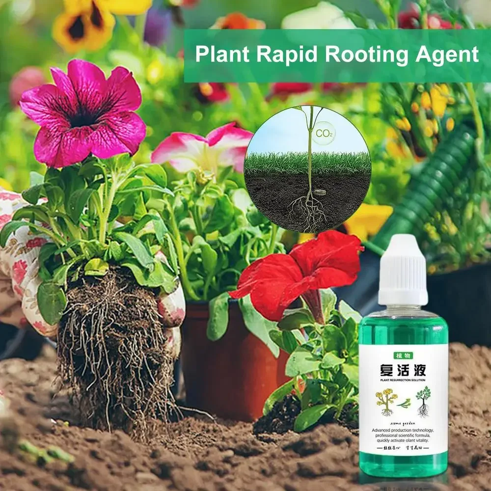 

3Ps Root Stimulator for Plants 30ml Plant Growth Enhancer Succulent Root Booster Indoor Plant Fertilizer Plant Nutrient Solution