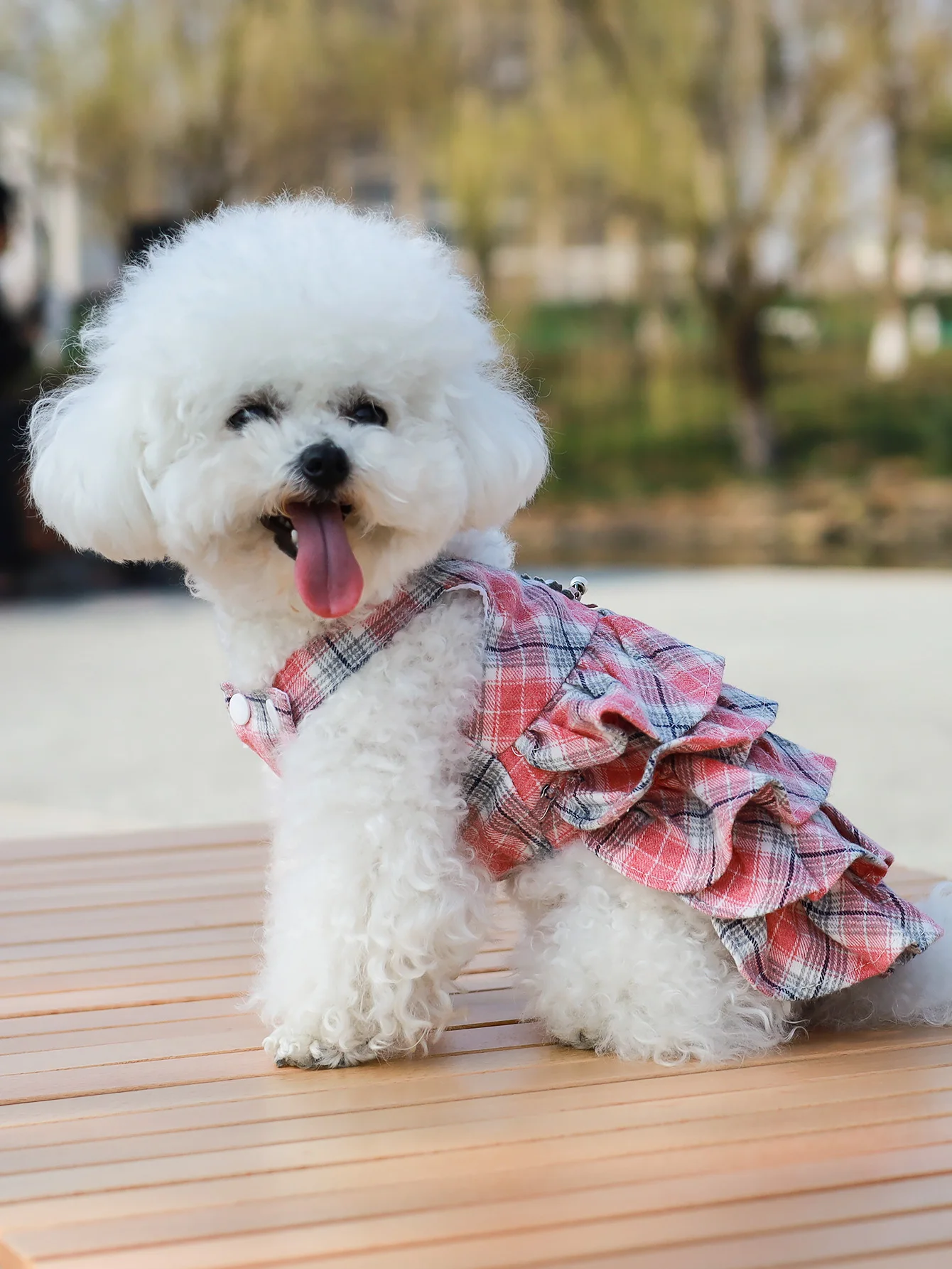 Pet Strap Plaid Skirt Dog Spring and Autumn Skirt Teddy Bichon clothes Cute Princess Pong Small and Medium sized Dog Cloth
