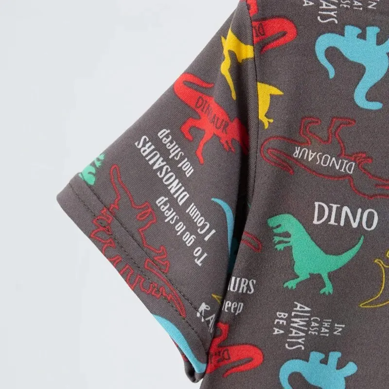 2 Pcs Summer Children's Fun Printed Shorts Short Sleeve Suit Boy Colorful Dinosaur Top Girl Sweet And Lovely Elastic Waist Short 6