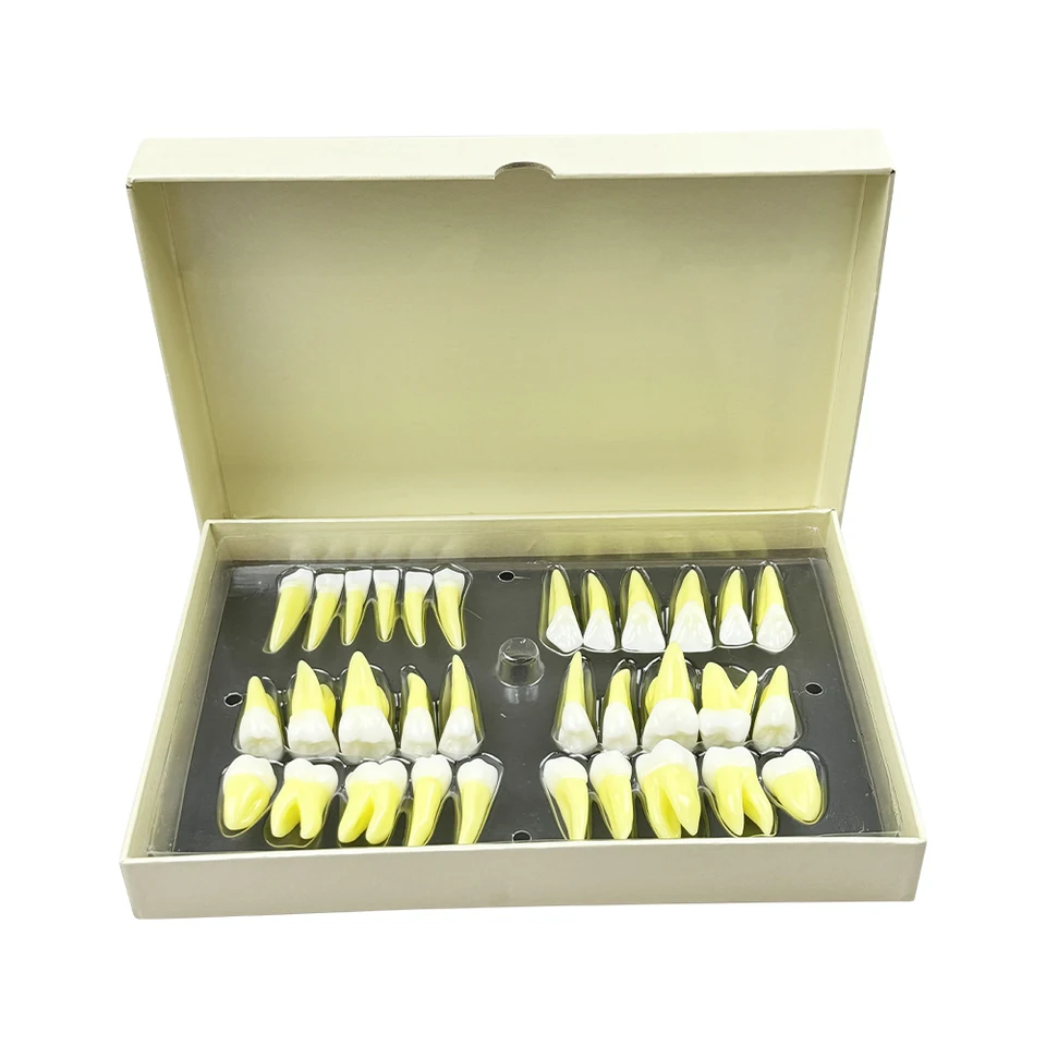 S7c610e3e88b34487a7c211f59d4a4