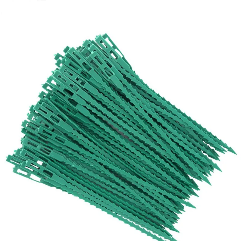 50 100Pcs 