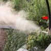100M/Roll  9.52mm High Pressure tubing hose pipe For Misting Cooling system Artificial Fog Outdoor PE hose 100m/Roll 6