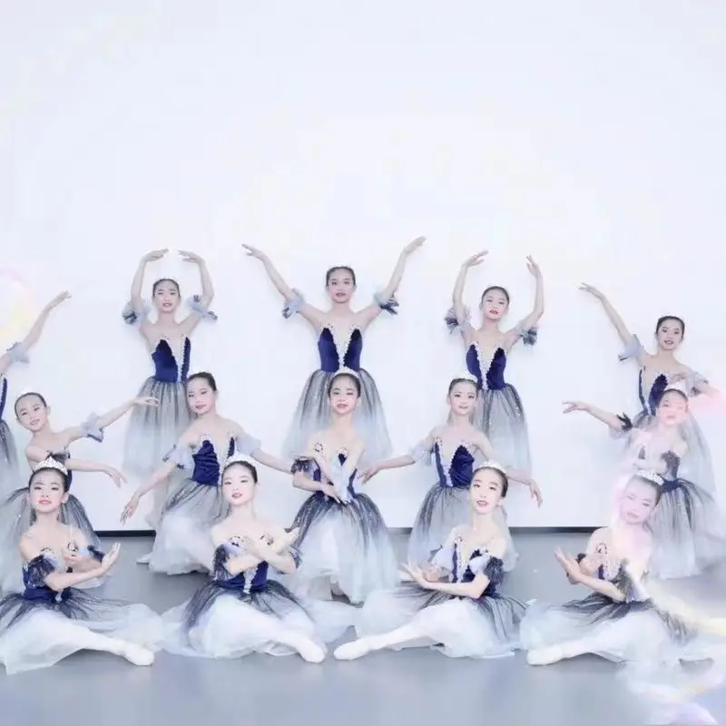 Schwanensee-Ballettkostüm Ballerina-Ballettkleid Mädchen-Aufführungskleidung Samt-Oberteil Erwachsene Kinder Langes Professionelles Ballett-Tutu – Detail 3