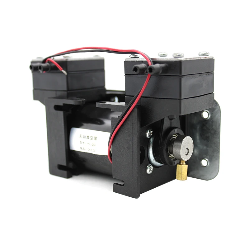 12V/220V 높은 양성 음압 진공 펌프 대형 미용 기기 음소거 더블 헤드 다이어프램 펌프 마이크로 공기 펌프