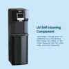 2 in 1 Water Cooler, Cold Water Supply with 18LBS Daily Ice Making, Bottom Loading Compatible with 3 or 5 Gallon Bottles, Ideal 4