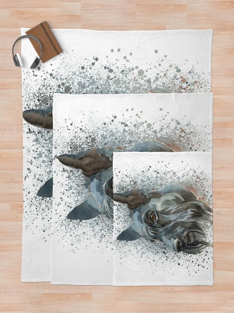 ����Ƽ�� �׸��� ������ ���, ���� ���, ���� ���, ���� ���