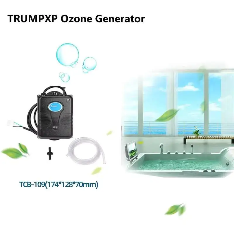 2024 220V 300 มก./ชม.Ozone Generator อ่างอาบน้ําฝักบัวสปาสระว่ายน้ํา Ozonizer อ่างสระว่ายน้ําเครื่องกรองน้ําเปลี่ยนชุดอุปกรณ์ 1