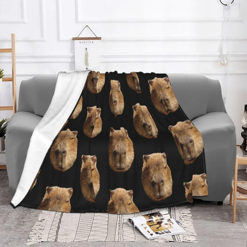 Capybara-�ܿ�� �β��� ���� �ö��� ���, ħ�� ���� ķ�� �繫�� �� ���