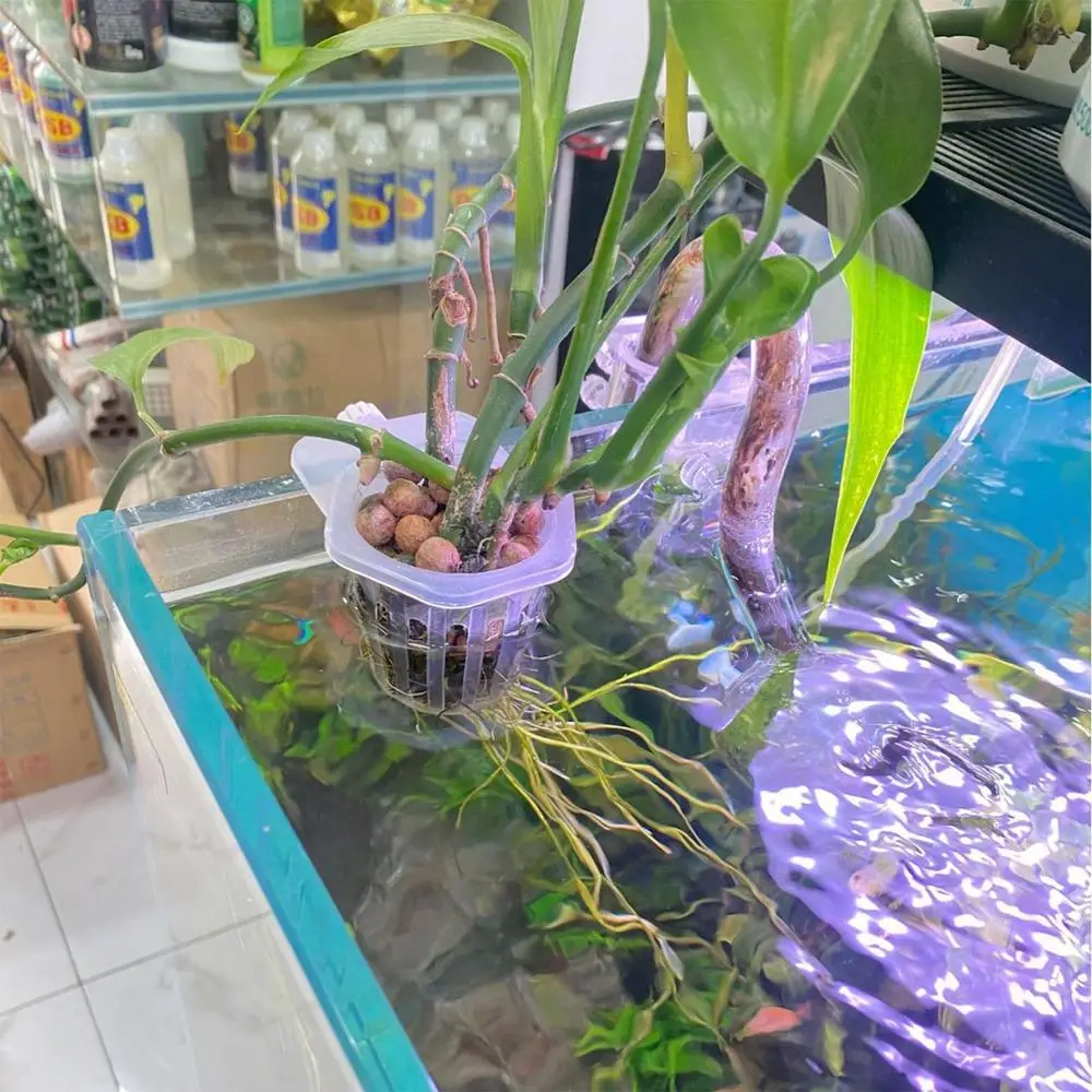 Description Picture 2 of item2pcs Fish Tank Planting Cup Hydroponic Support Basket Water Grass Aquatic Plant Holder Flower Pot Hanging Aquarium Accessories