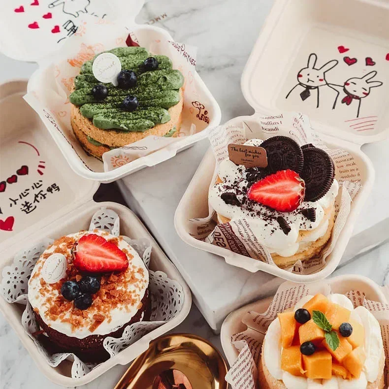 Eco-Friendly Disposable Bento Lunch and Party Packaging Box
