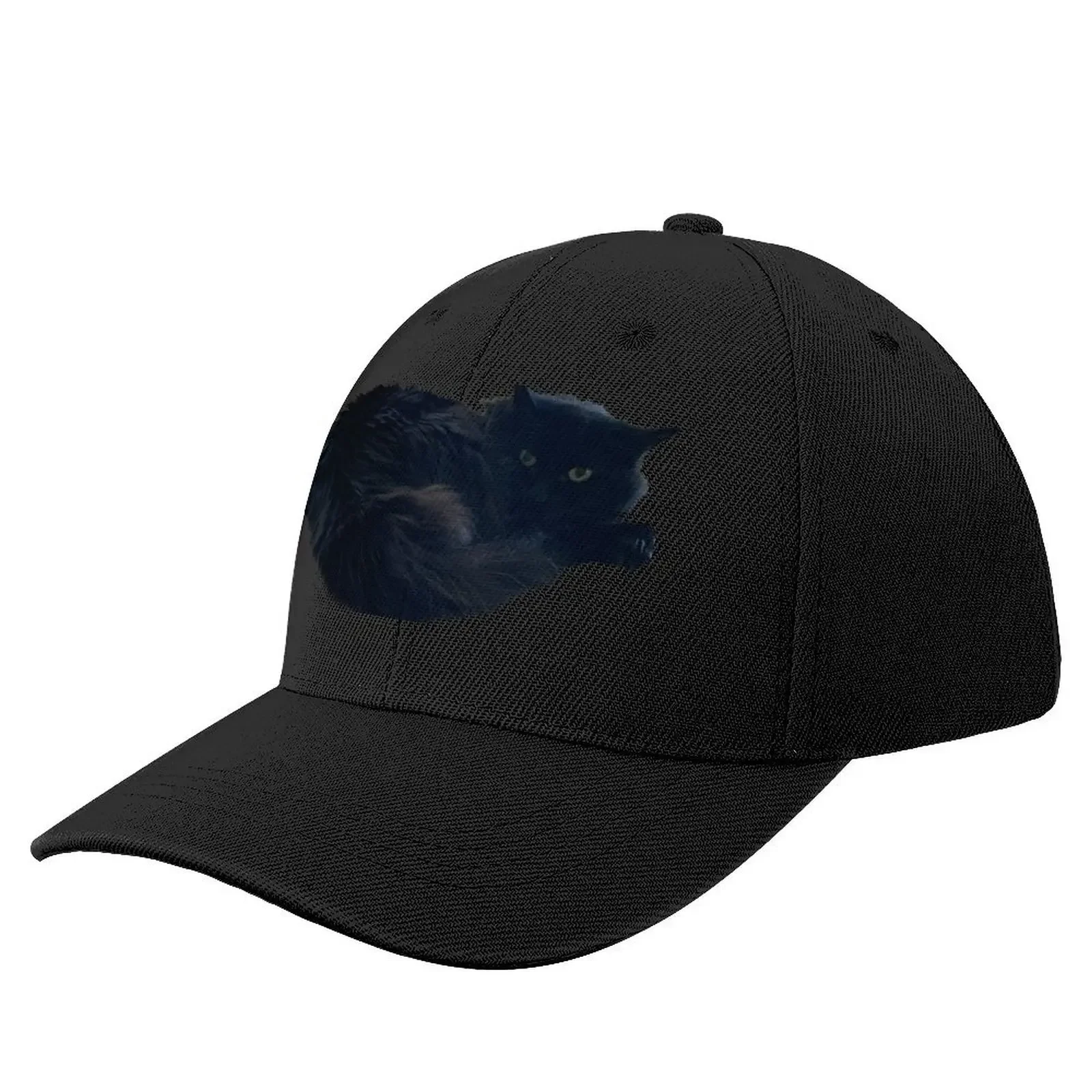 Fluffy Black Cat Baseball Cap Thermal Visor Cosplay Brand Man cap Hat Beach Caps For Men Women's