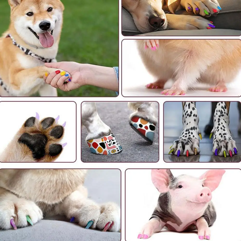 12 Bright Colors Pet Nail Art Pen 12-color Quick Dry Pet Nail Art Pen Set for Puppy Cat Soft Brush Tip Dog Polish for Small