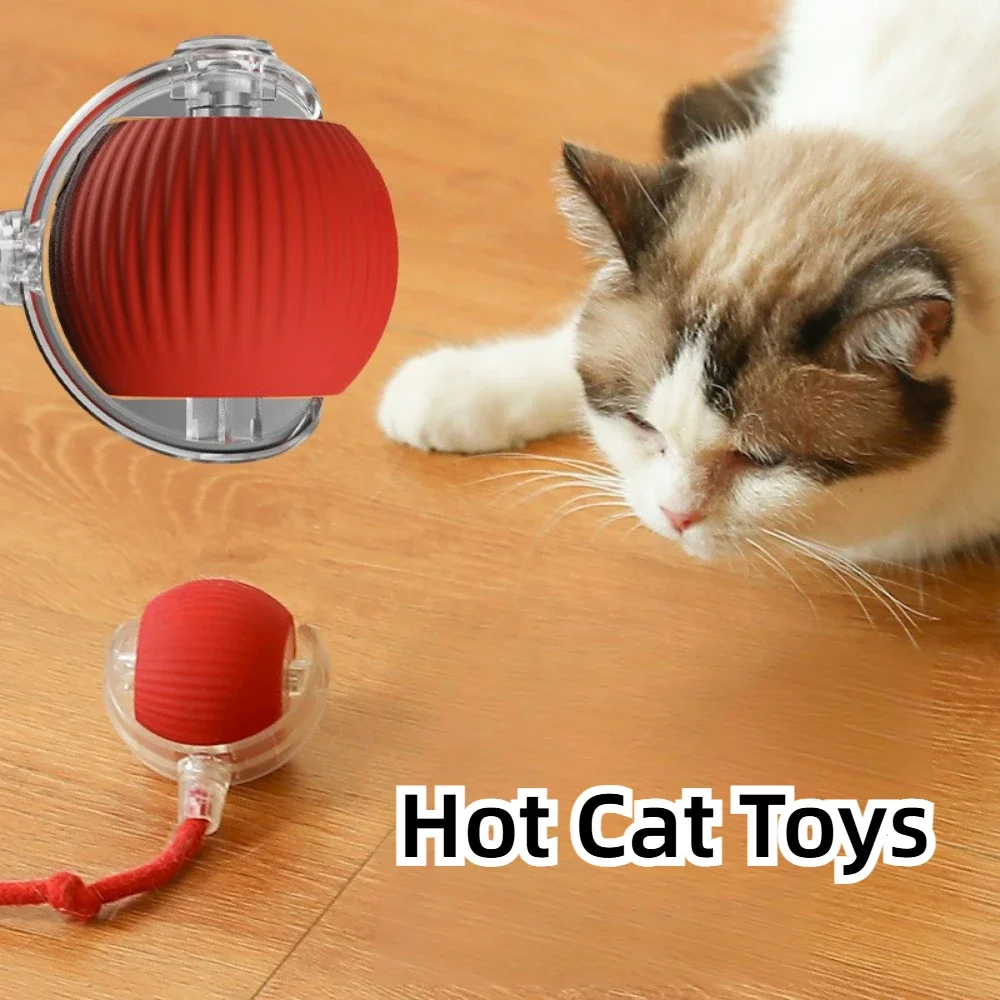 Boule à fausse queue roulante automatique pour animaux de compagnie, jouet électrique intelligent aste, produits pour chats, accessoires pour chats, jouets pour la maison 1