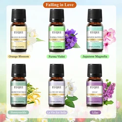 Fragrance Oil Gift Set - Coffee, Pumpkin Pie, Forest Pine & Sweet Fruit Scents (6pcs) - 10ml (Falling in Love)