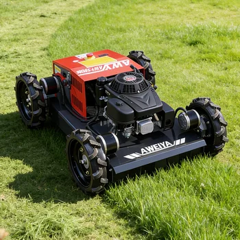 Remote Control Lawn Mower 1