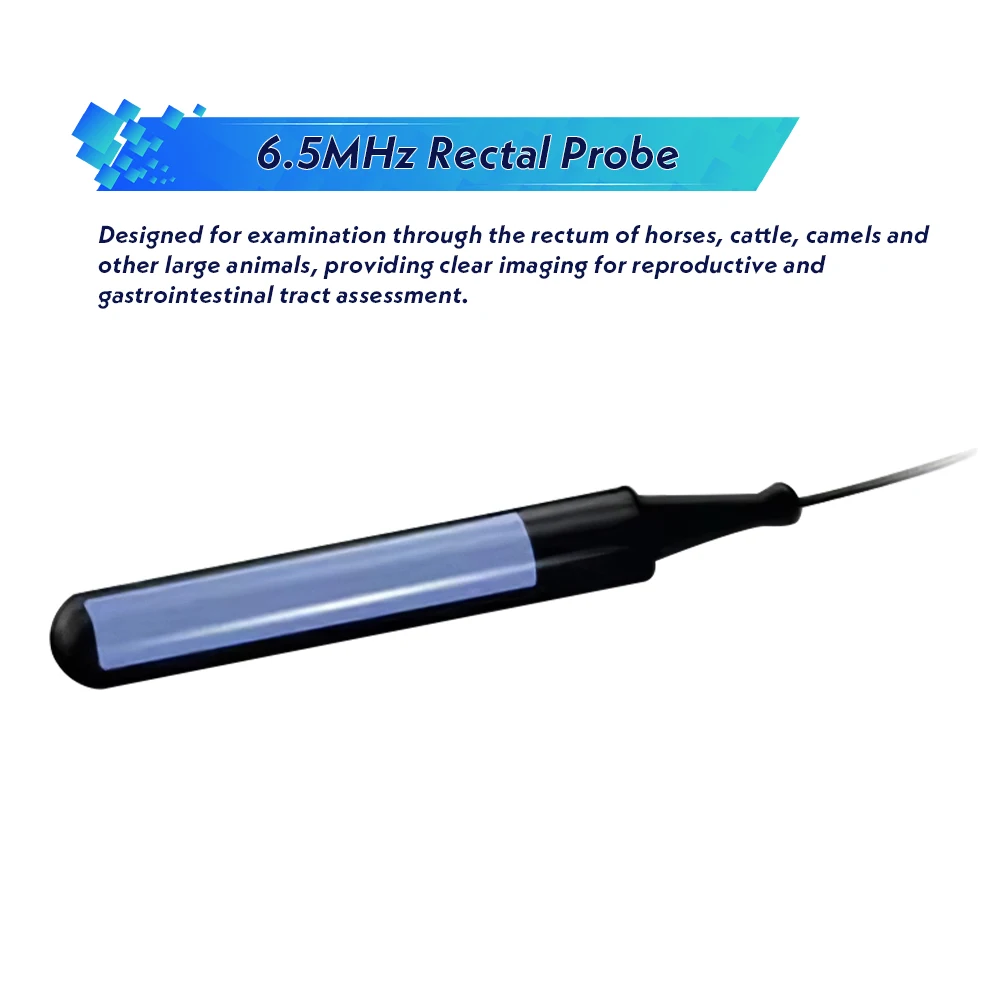 3.5/5/6.5Hz Portable Veterinary Ultrasound Scanner Vet B-Ultra Pregnancy Machine