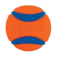 Chuckit! Ultra Ball Dog Toy 2