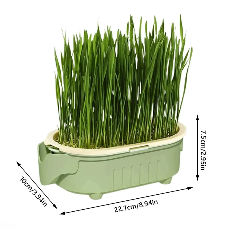 Organic Cat Grass Planter Kit for Hairball Relief and Natural Digestive Support - Grow Your Own Cat Grass Bowl Set (Seeds Not Included)