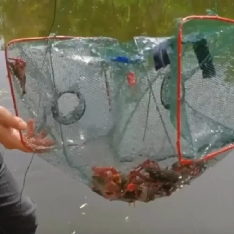 S/L Premium Collapsible Fish Trap Outdoor Enthusiasts Fishing Tackle Portable Cast Net Fish Cage for Crab Shrimp Crayfish 1pc