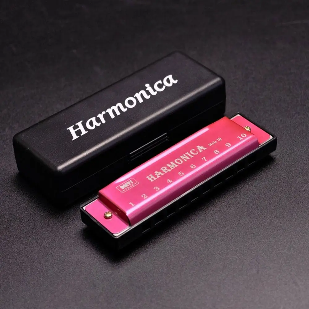 Creative Key of C 10 Hole Harmonica Metal Rectangle Mouth Organ Beginner Teaching with Box Beginners Educational Gifts Children