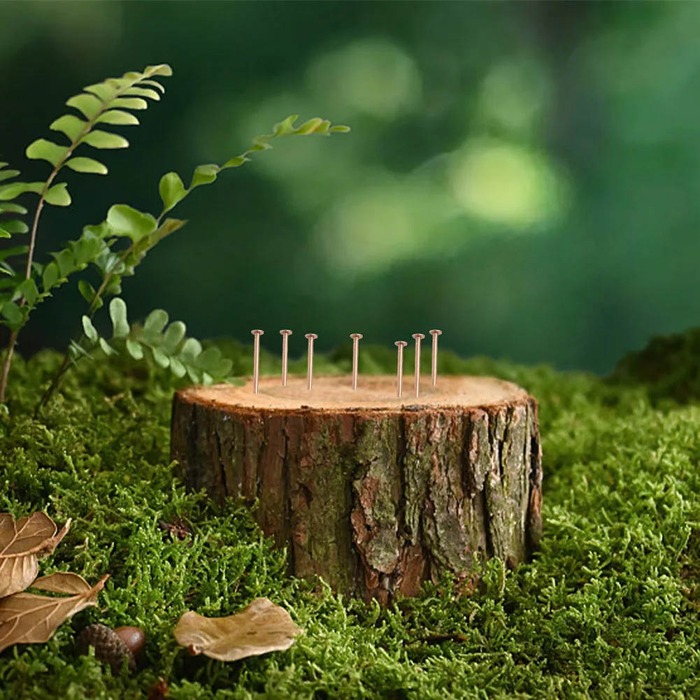 Effective Root Elimination Copper Tree Stump Killer Fast Acting Solution Large Sizes Available Non-Disturbing Method