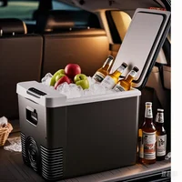 Mini réfrigérateur 12V 220V voiture maison double usage réfrigérateur congélateur 10L extérieur refroidisseur et plus chaud réfrigérateur électrique Portable glacière 1