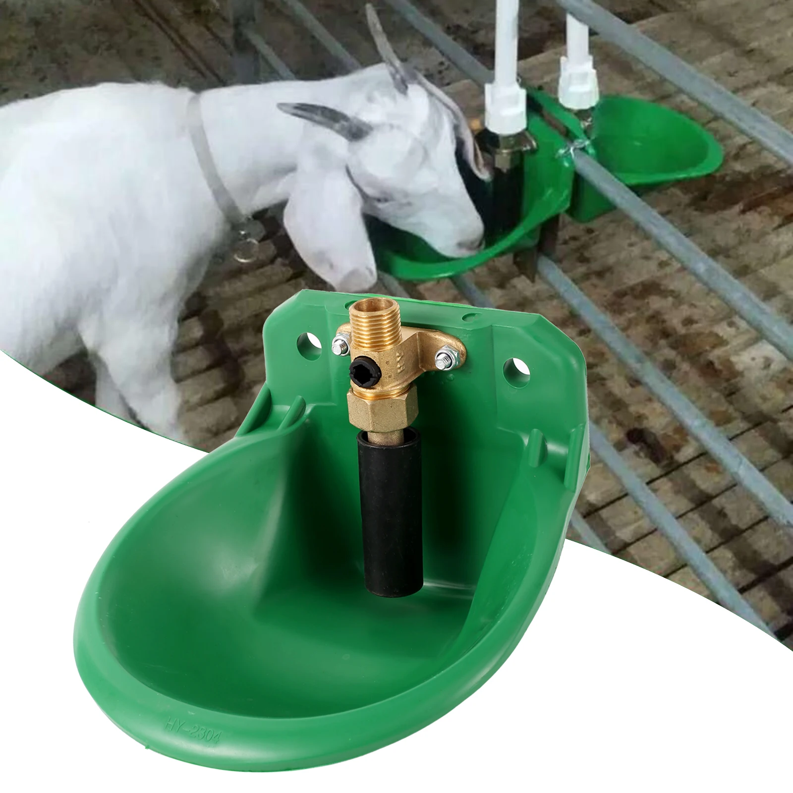 Filles à eau automatique en acier inoxydable avec assujeten cuivre,  abreuvoir pour chien, mouton, chèvre, agneau