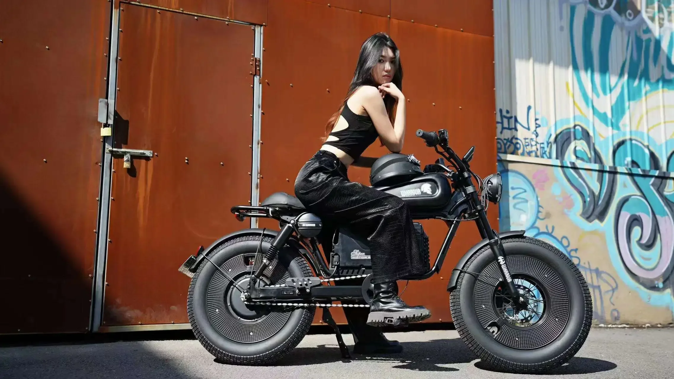 Black Warrior 1500W Electric Bicycle Motorbikes 48V60AH