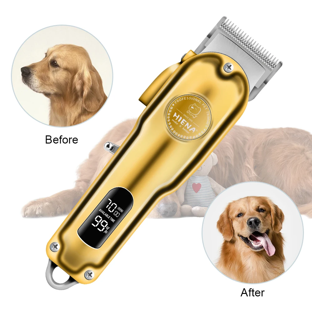 Golden Retriever Pampered Pet Spa Retriever Dog Grooming Golden